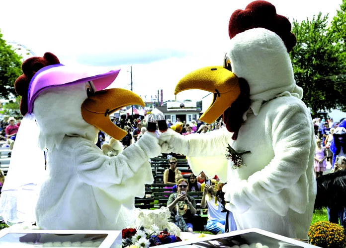 Lovebirds wed at Canfield Fair